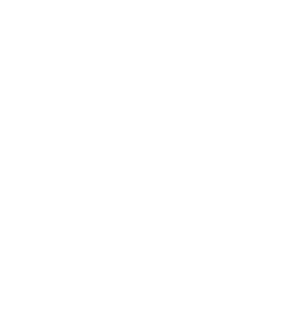 Сервіс 2ВВ